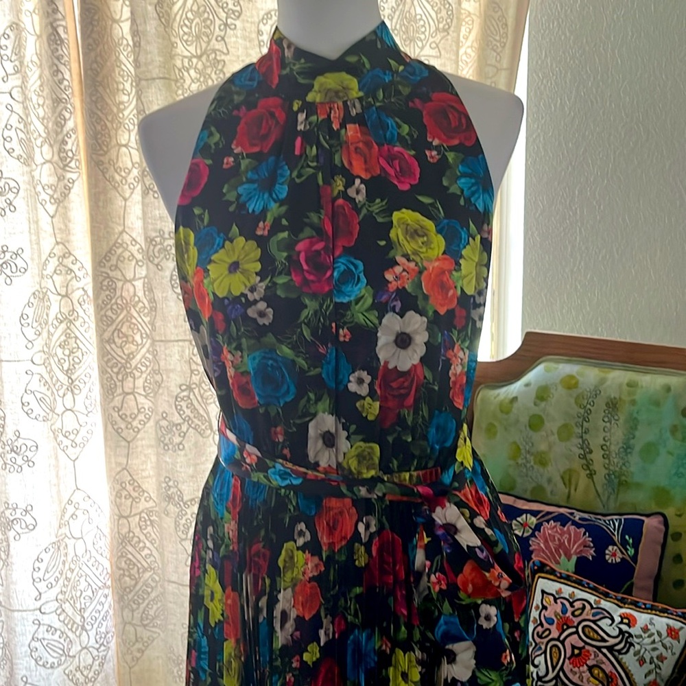 Alice + Olivia Black Floral Maxi Dress with Multicolor Blooms